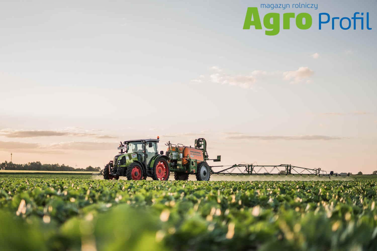 Pogoda na opryski ozimin. Listopad najcieplejszy w historii?