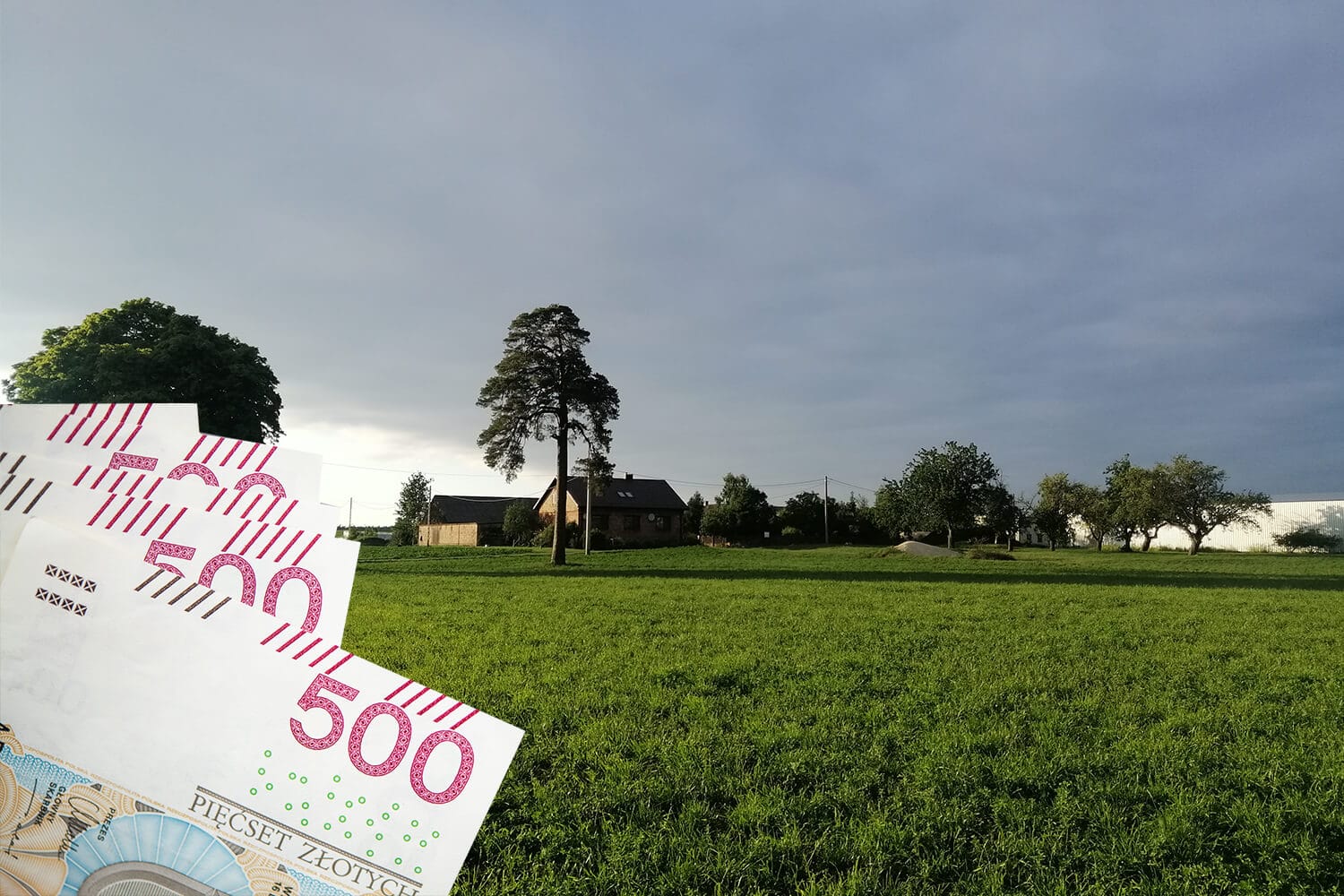 Rozwój małych gospodarstw – od 1 października rusza nabór wniosków 2025