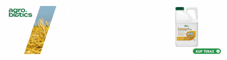 spot_img