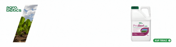 spot_img