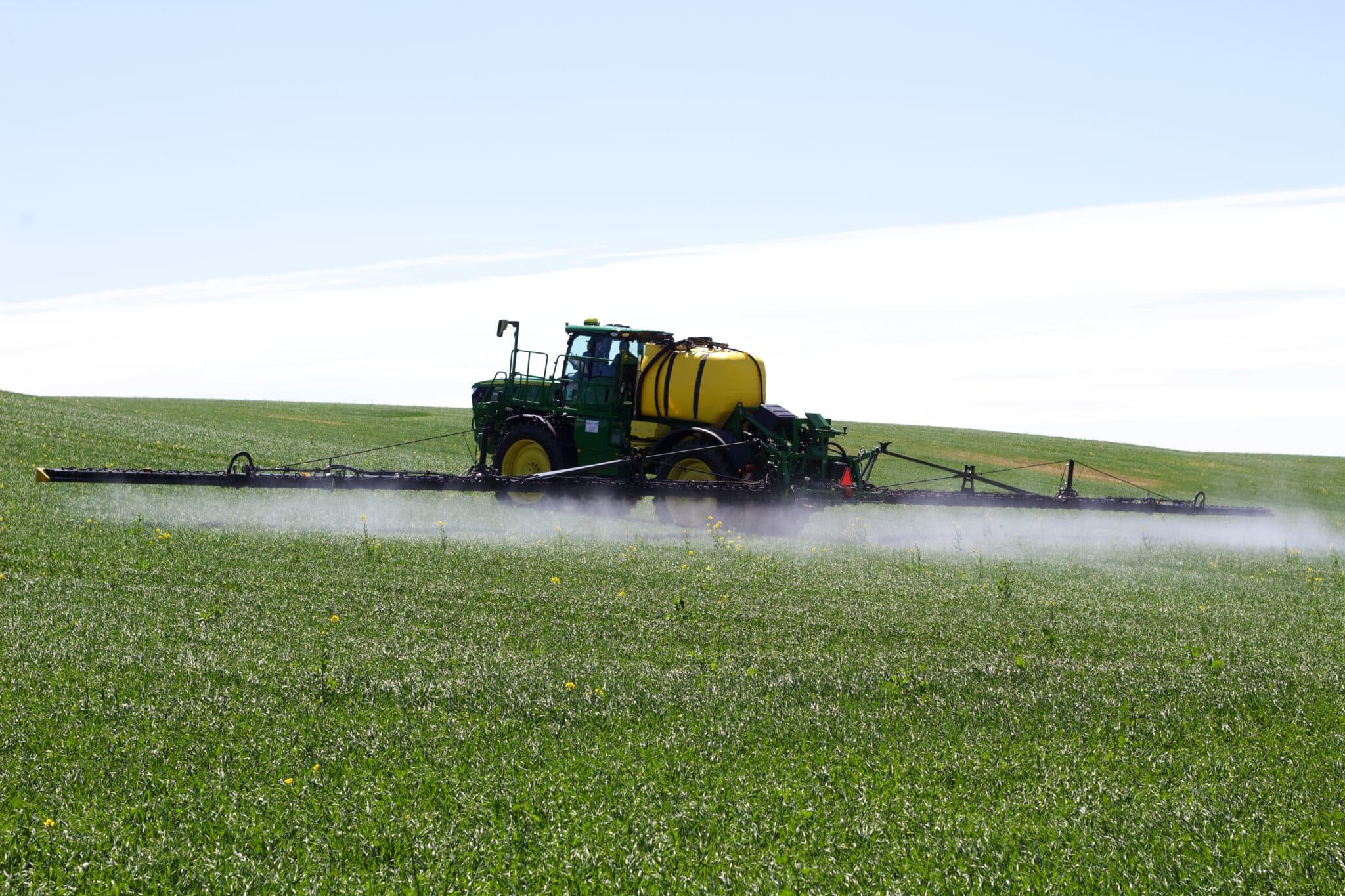 Kiedy wykonać oprysk na chwasty dwuliścienne?