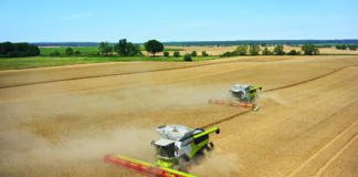 Rośnie wydajność pracy w rplnictwie