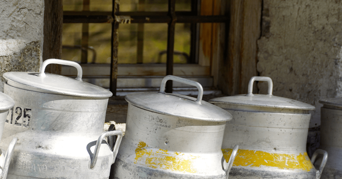 Afera, miliony długów i prokuratura! Problemy OSM Olecko – co dalej?