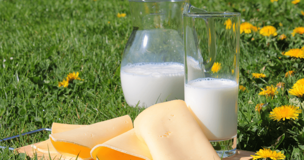 Od drugiego kwartału 2023 czekają nas spadki cen mleka?