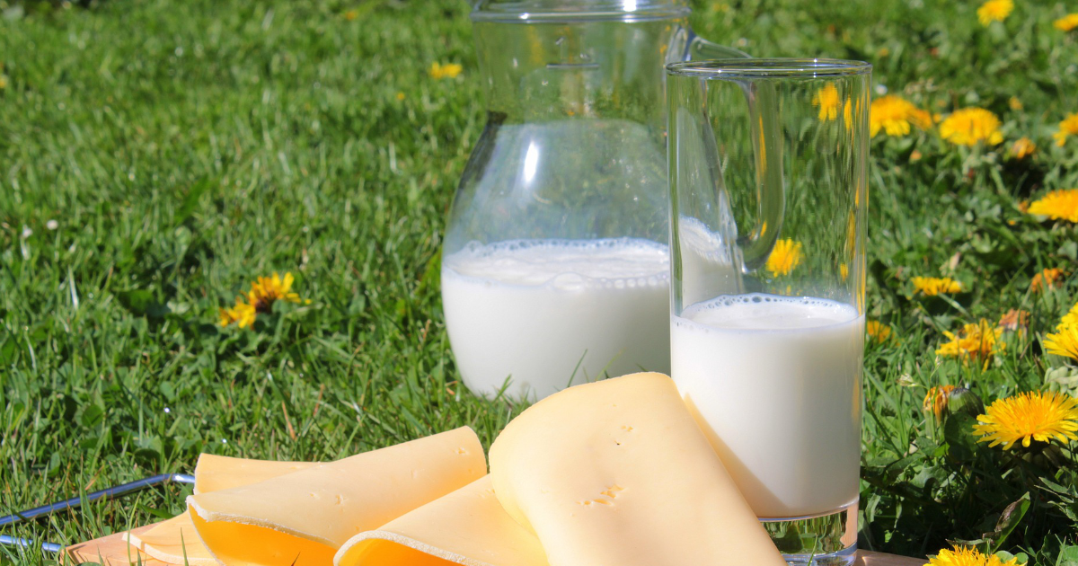 Ranking mleczarni 2025: Kto napędza polskie mleczarstwo