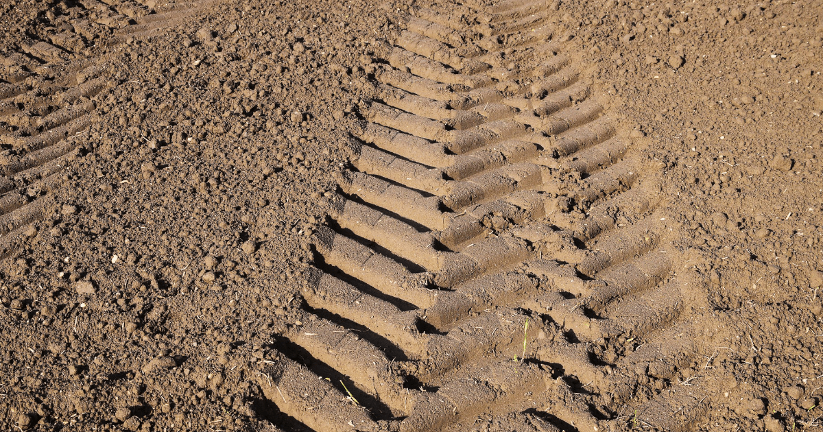 KOWR idzie na rekord dzierżawy