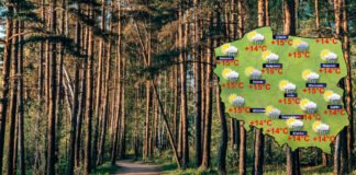 Chłodna noc na południu i na północy