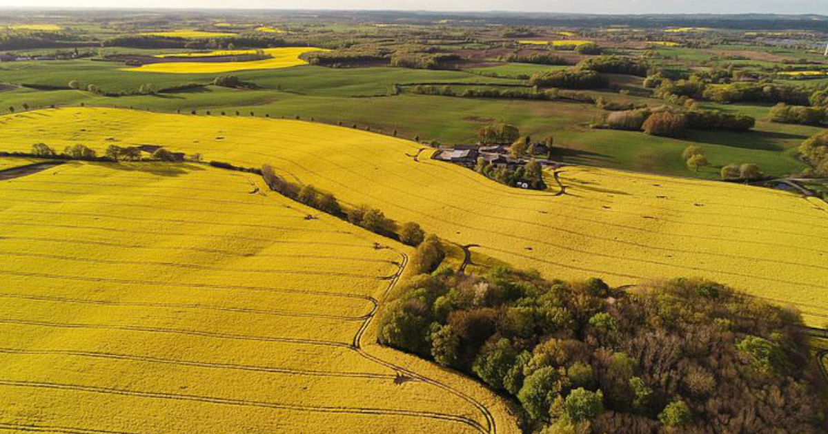 AFERA ZIEMI ROLNEJ POD CPK! Wiceprezes Dawtony stawia warunek!