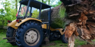 Drzewo upadło na traktor. Mógł zginąć człowiek