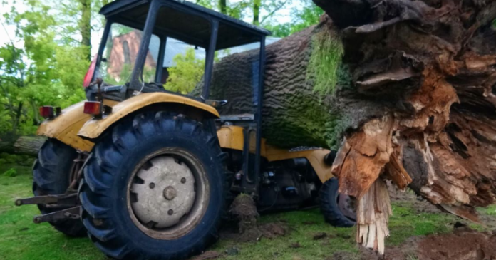 Drzewo upadło na traktor. Mógł zginąć człowiek