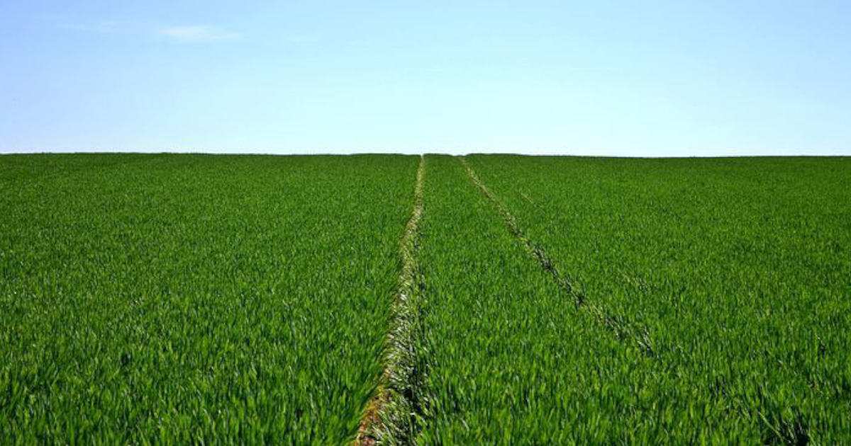 Mapy w aplikacji eWniosekPlus zmieniają się w trakcie naboru. Czy rolnicy tracą dopłaty przez „ruchome” granice działek?