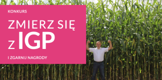 KONKURS - ZMIERZ SIĘ Z IGP!