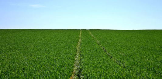 Ile gruntów zostało do zagospodarowania?