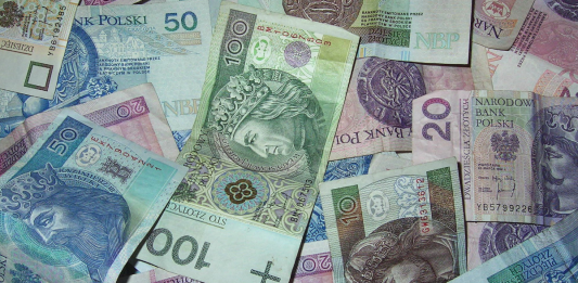 Zapobieganie ASF w gospodarstwach i spółki. Rusza nabór wniosków!