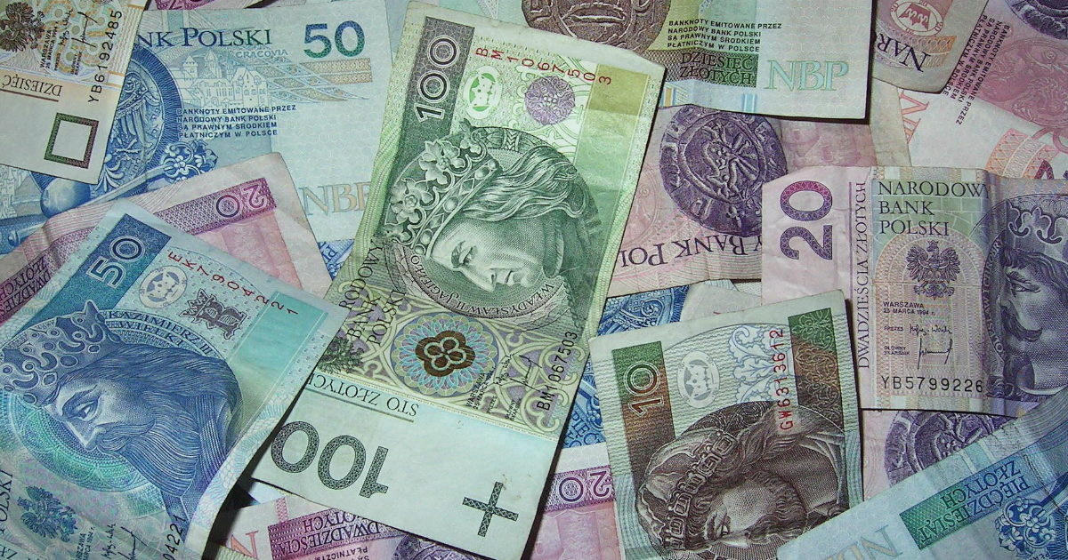 ASF – ruszył IV nabór wniosków ARiMR. Dofinansowanie na bioasekurację i wsparcie dla producentów świń do 100 tys. zł