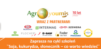 Soja, kukurydza, słonecznik - co warto wiedzieć