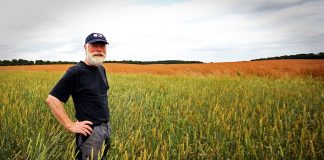 emerytura a działalność rolnicza