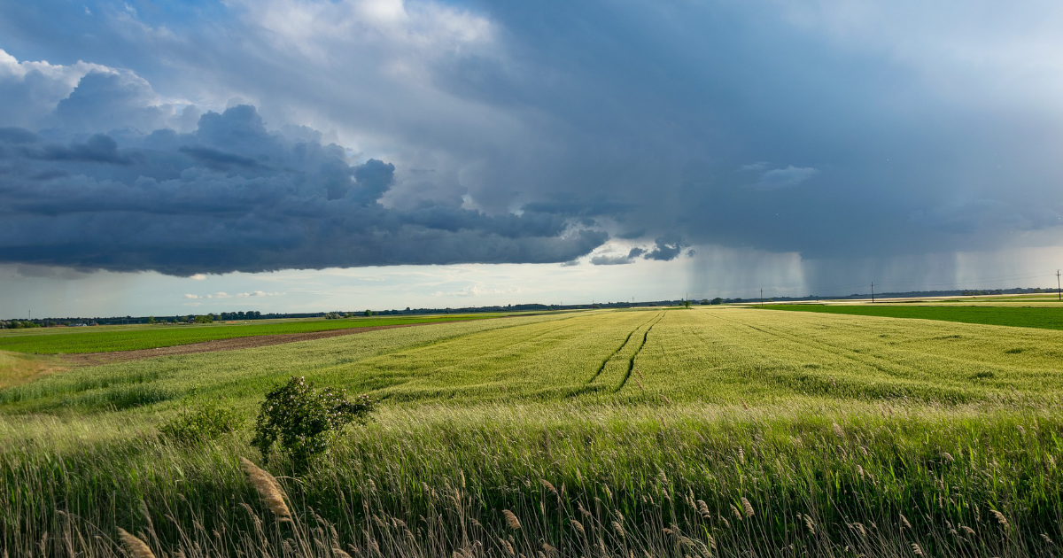 Ubezpieczenia rolnicze 2025 – idzie nowe. Sprawdź co ma się zmienić!