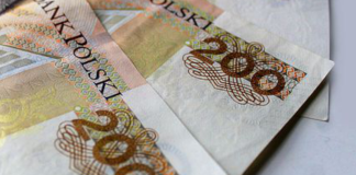 Jak szybko przebiega proces wypłaty tegorocznych dopłat bezpośrednich oraz płatności obszarowych PROW?