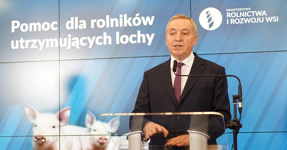 MRiRW: 1000 zł do każdych urodzonych 10 prosiąt