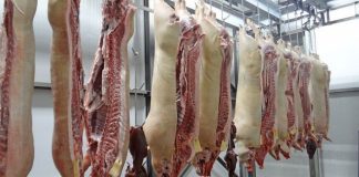 POLPIG: Zamiast dopłacać do przechowalnictwa zapewnijmy ludności ukraińskiej dostęp do produktów wieprzowych