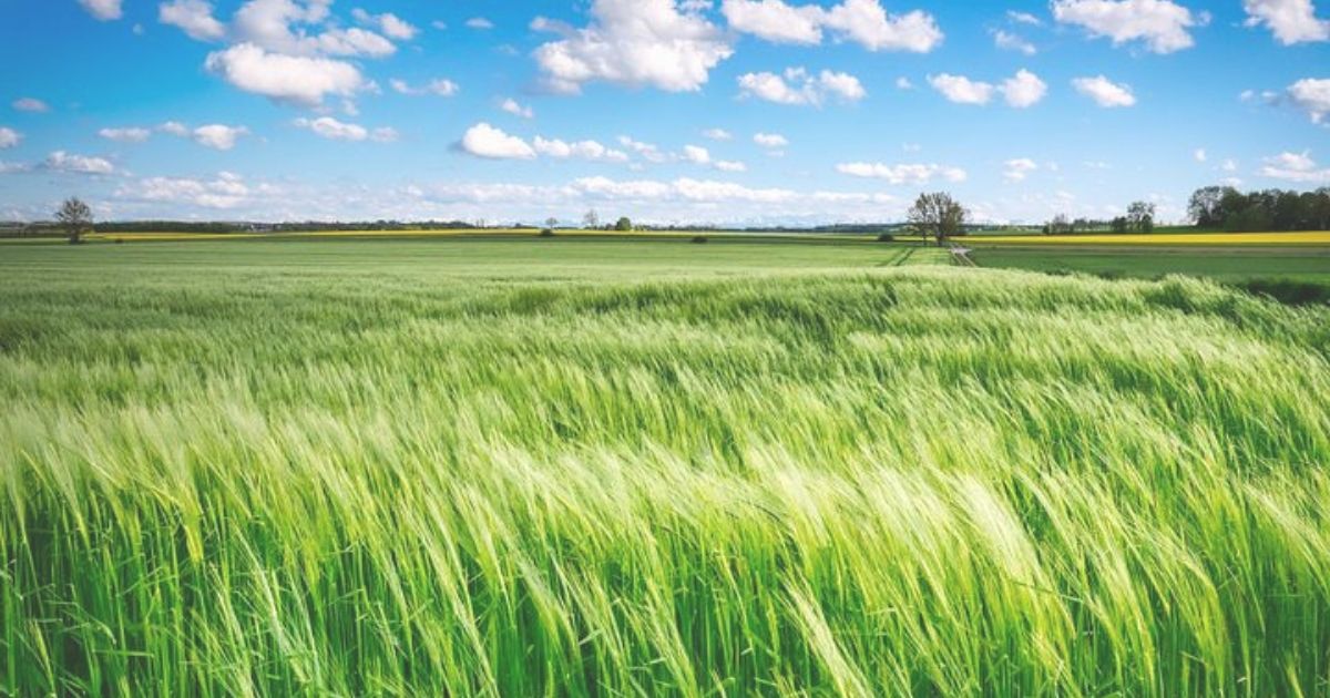 Rolnictwo 4.0 – Nowy termin realizacji inwestycji z KPO! Zmiany, które ucieszą rolników