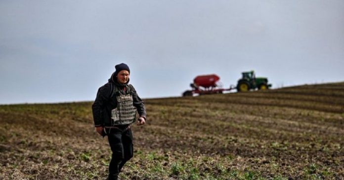 Ukraińscy rolnicy ubrani w kuloodporne kamizelki rozpoczęli siew