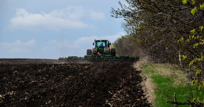 Rosną prognozy areału upraw na Ukrainie