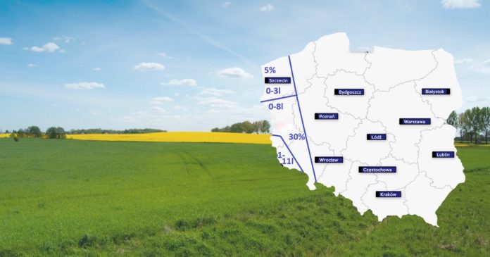 W nocy z czwartku na piątek nawet 17 stopni na Ziemi Lubuskiej [POGODA]