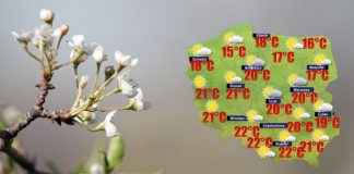 Niedziela w całym kraju sucha, słoneczna i wietrzna