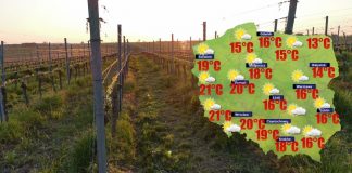 W poniedziałek w całym kraju zapanuje sucha pogoda