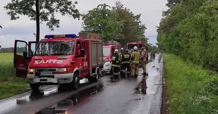 21 krów uciekło z gospodarstwa. Trwają poszukiwania bydła!