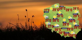 Na wschodzie i w centrum najbliższe dni przyniosą suchowieje- ciepłe suche, silniejsze wiatry [POGODA]