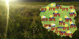 W piątek na zachodzie kraju powieje silniejszy wiatr [POGODA]