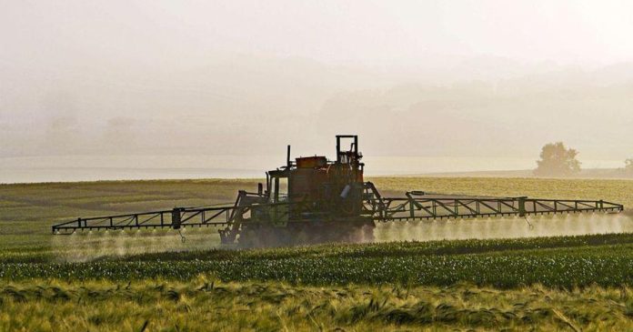 Pojawiło się rozporządzenie ws. stosowania pestycydów. Rolnicy będą musieli ograniczyć ich stosowanie o 50%