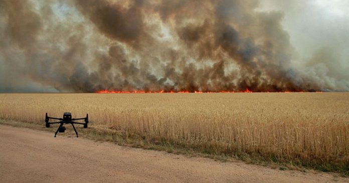Susza i upały wzniecają coraz więcej pożarów w środkowej, wschodniej i południowej Europie