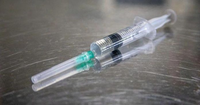 Pierwsza szczepionka przeciwko ASF zatwierdzona!