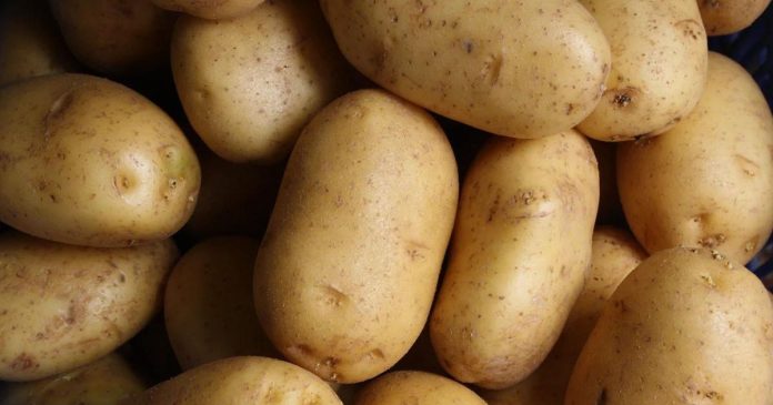 Kartofle, pyry, ziemniaki. Czy są mniej wartościowe od reszty?