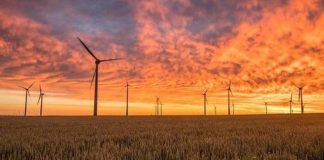 Koniec z ograniczeniami w budowaniu farm wiatrowych? Rząd przyjął projekt