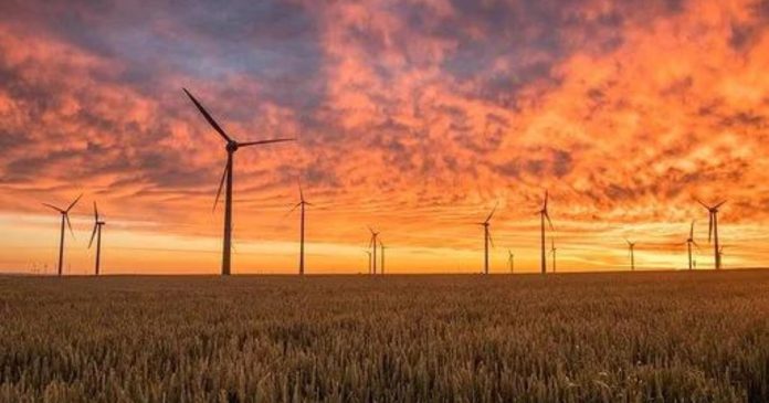 Koniec z ograniczeniami w budowaniu farm wiatrowych? Rząd przyjął projekt