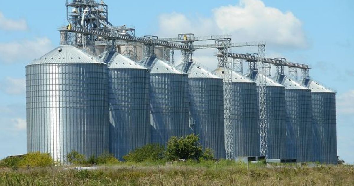 120 mln zł od KGS na skup zbóż. Elewarr zwiększa możliwości przyjęć pszenicy i rzepaku