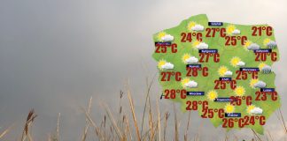 W środę pogoda pozwoli na żniwa w centrum, na południu, zachodzie i północy kraju [POGODA]