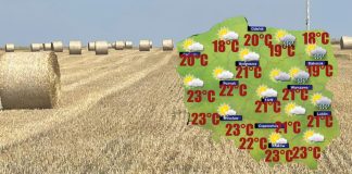 Od niedzieli powolna zmiana pogody w kierunku słońca [POGODA]