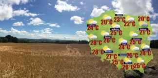 Najbliższy tydzień warto przeznaczyć na zbiór zbóż z pól [POGODA]