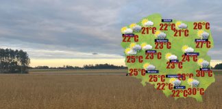 We wtorek powieje silniejszy wiatr w porywach do 50 km/h [POGODA]