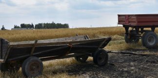 50 latek zginął podczas gaszenia pożaru na polu