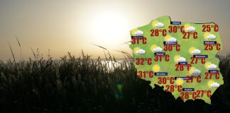 Zbliża się ocieplenie. Pojawi się również znacznie więcej słońca [POGODA]