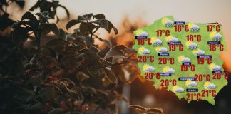W czwartek napłynie do Polsko arktyczne powietrze [POGODA]