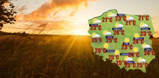 Przed nami kolejna zimna noc z obfitą rosą [POGODA]