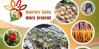 BARWY LATA-DARY JESIENI w Minikowie